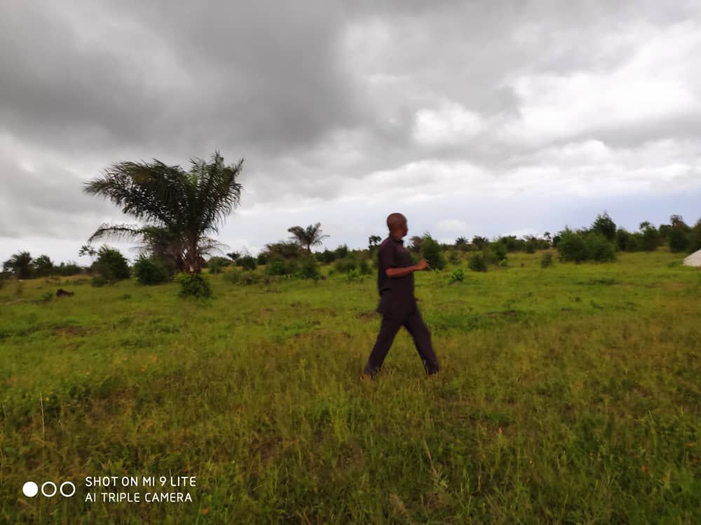 20 PARCELLES A VENDRE