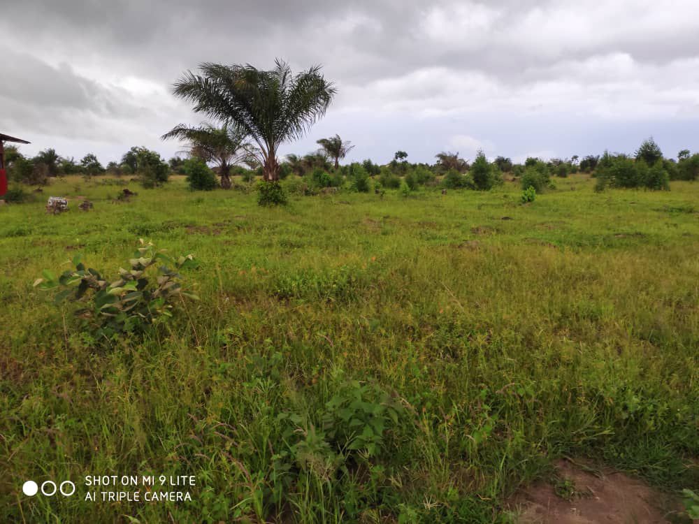 20 PARCELLES A VENDRE