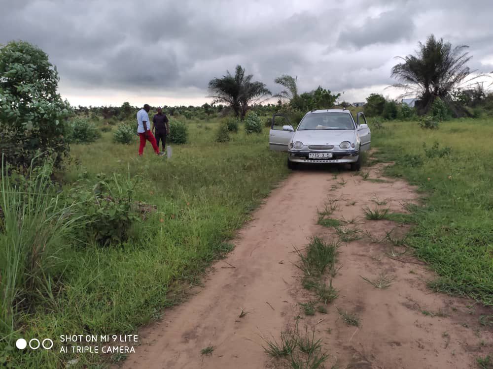 20 PARCELLES A VENDRE