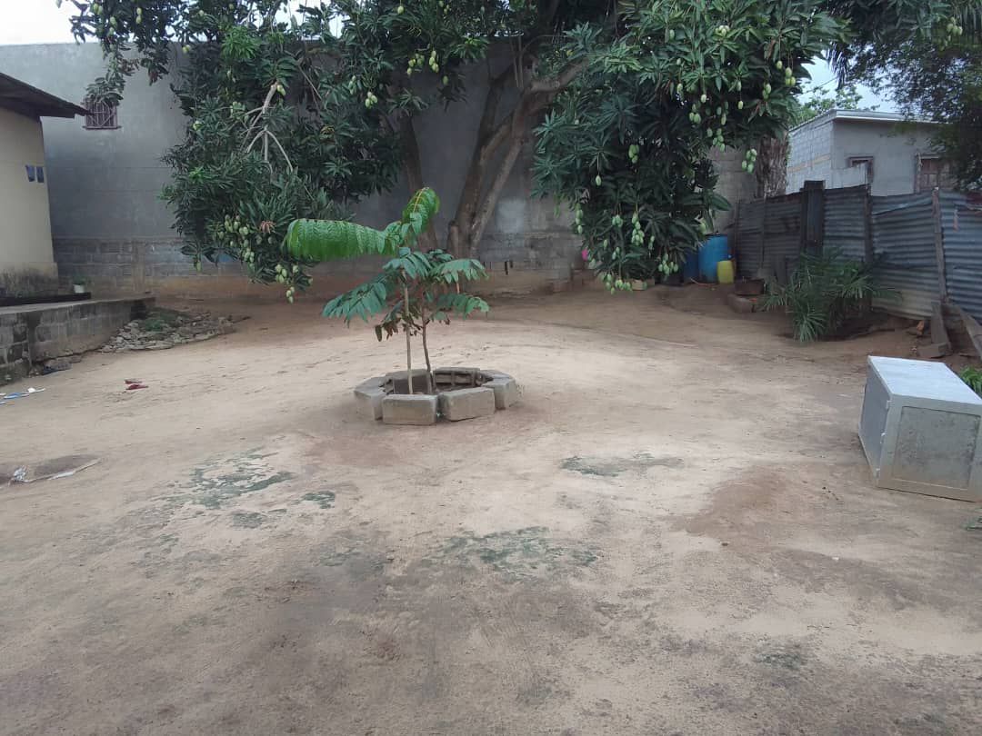 DEMI TERRAIN A SIAFOUMOU