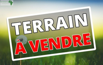 DEMI TERRAIN A SONGOLO