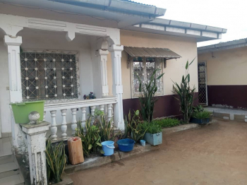 PARCELLE COMMERCIALE 