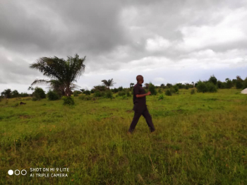 20 PARCELLES A VENDRE