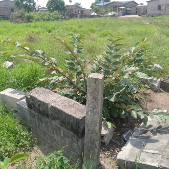 TERRAIN AVEC TITRE FONCIER